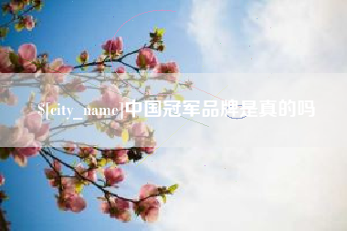 东阳中国冠军品牌是真的吗