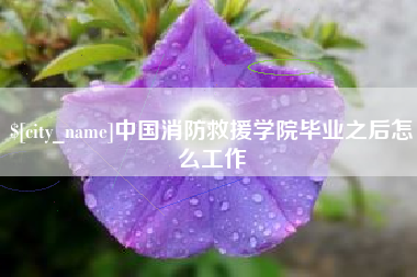 东阳中国消防救援学院毕业之后怎么工作