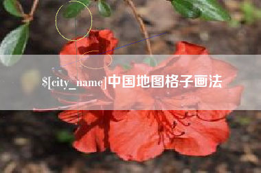 东阳中国地图格子画法