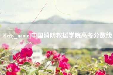 东阳中国消防救援学院高考分数线