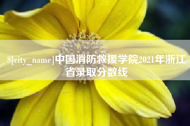 东阳中国消防救援学院2021年浙江省录取分数线