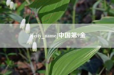 东阳中国第9金