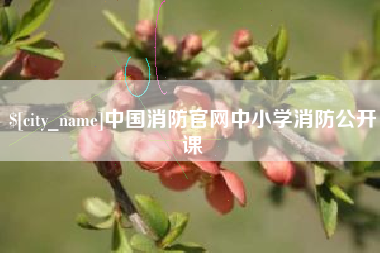 东阳中国消防官网中小学消防公开课