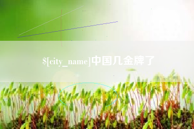 东阳中国几金牌了