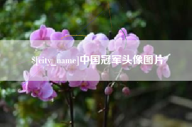 东阳中国冠军头像图片