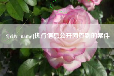 东阳执行信息公开网查到的案件