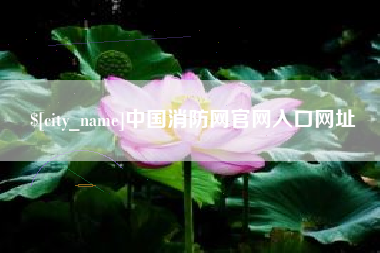东阳中国消防网官网入口网址