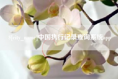 东阳中国执行记录查询系统app