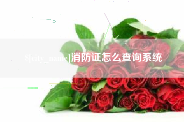 东阳消防证怎么查询系统