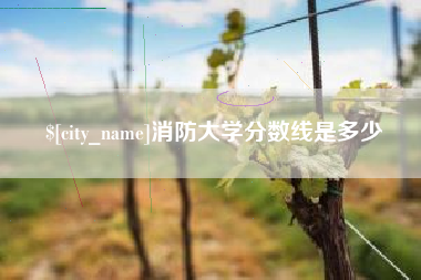 东阳消防大学分数线是多少