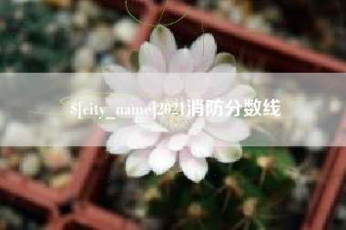 东阳2021消防分数线