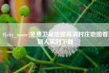 东阳免费卫星地图高清村庄地图看到人实时下载