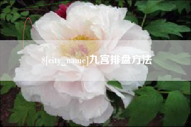 东阳九宫排盘方法
