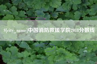 东阳中国消防救援学院2018分数线