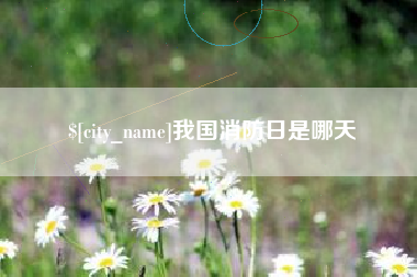 东阳我国消防日是哪天