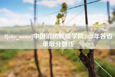 东阳中国消防救援学院2020年各省录取分数线