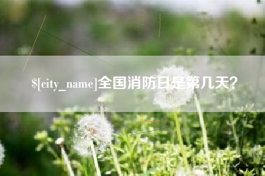 东阳全国消防日是第几天？
