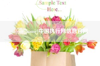 东阳中国执行网信息官网