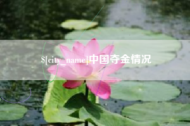 东阳中国夺金情况