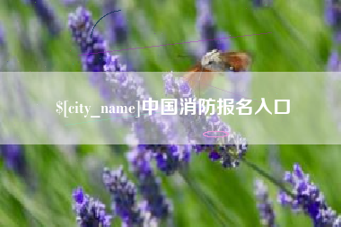 东阳中国消防报名入口