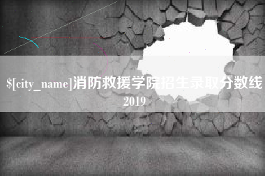 东阳消防救援学院招生录取分数线2019