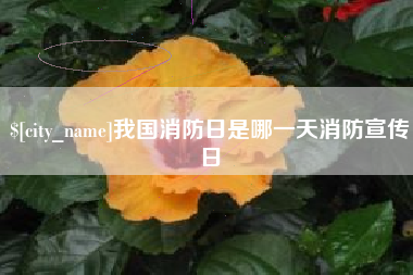东阳我国消防日是哪一天消防宣传日
