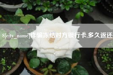 东阳诈骗冻结对方银行卡,多久返还