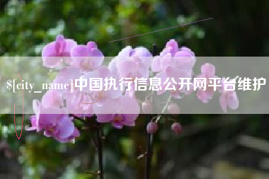 东阳中国执行信息公开网平台维护