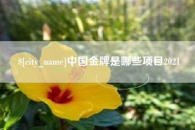 东阳中国金牌是哪些项目2021