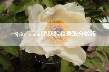 东阳消防院校录取分数线