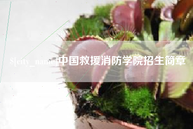 东阳中国救援消防学院招生简章