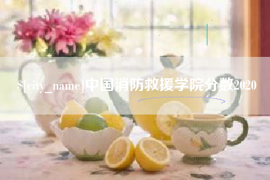 东阳中国消防救援学院分数2020