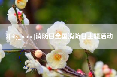 东阳消防日全国消防日主题活动