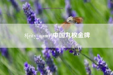 东阳中国九枚金牌
