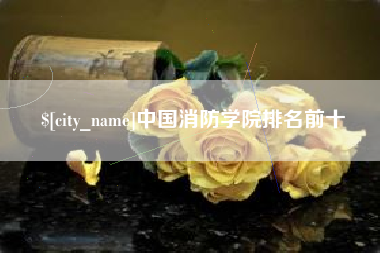 东阳中国消防学院排名前十