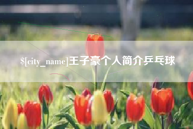 东阳王子豪个人简介乒乓球