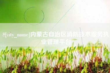 东阳内蒙古自治区消防技术服务执业管理平台