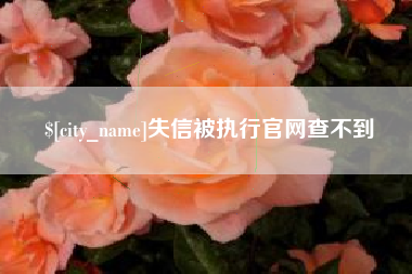 东阳失信被执行官网查不到