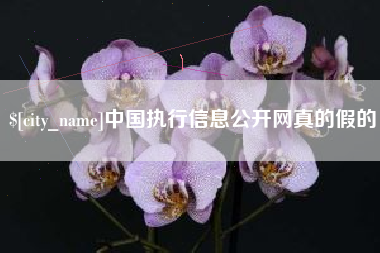 东阳中国执行信息公开网真的假的