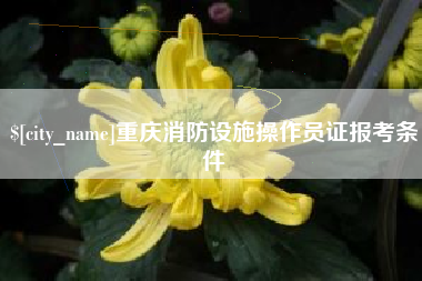 东阳重庆消防设施操作员证报考条件