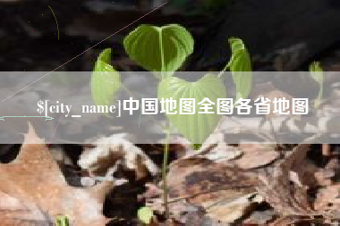 东阳中国地图全图各省地图