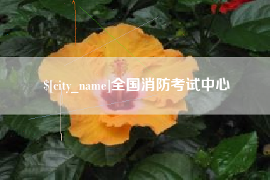 东阳全国消防考试中心