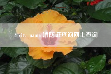东阳消防证查询网上查询