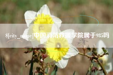 东阳中国消防救援学院属于985吗
