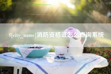 东阳消防资格证怎么查询系统