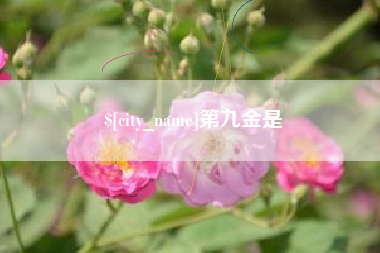 东阳第九金是