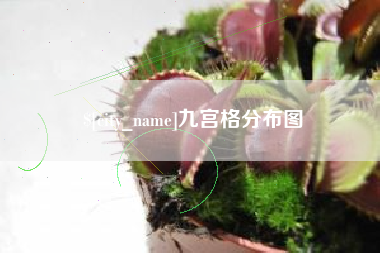 东阳九宫格分布图