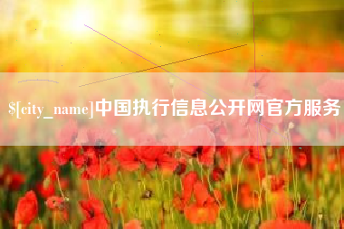 东阳中国执行信息公开网官方服务