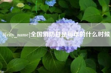 东阳全国消防日是每年的什么时候