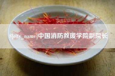 东阳中国消防救援学院副院长